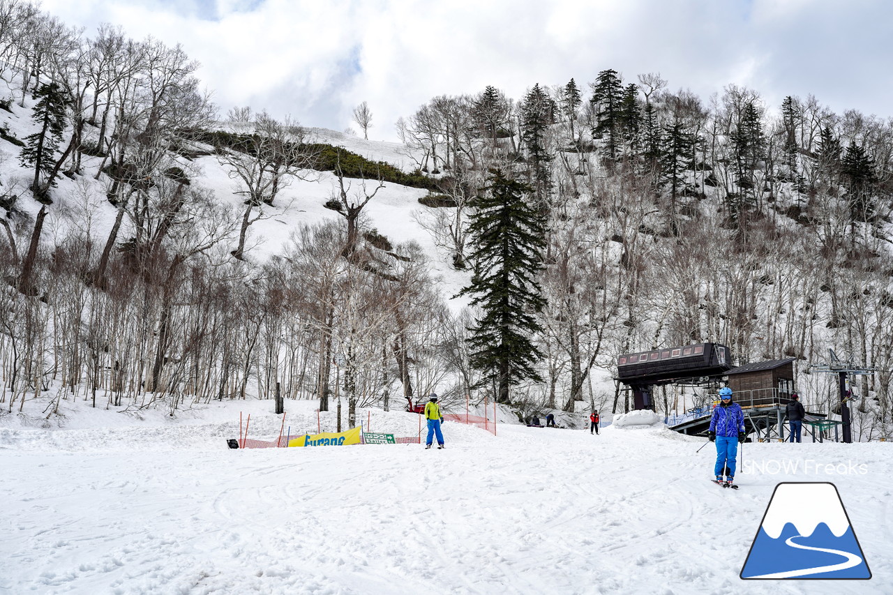 富良野スキー場 のんびりとした雰囲気漂う春のゲレンデ。そこに、サプライズゲスト・プロスキーヤー山木匡浩さん登場！